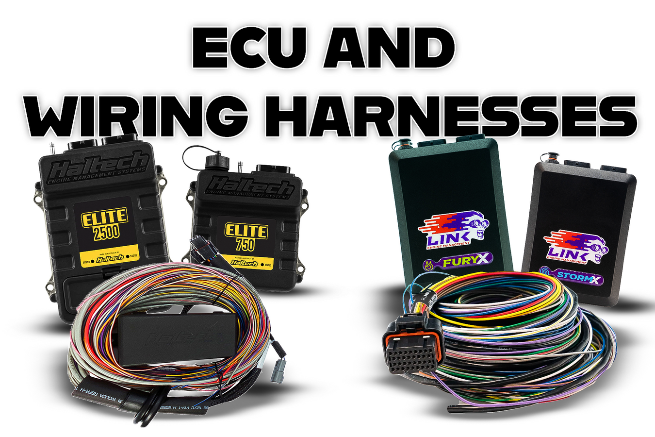 ECU's | Wiring Harnesses