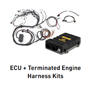 Haltech-ECU-Terminated-Engine-Harness-Kits Goleby's Parts