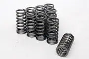 Atomic - Barra Ovate Race Valve Springs Atomic Performance Products