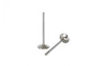 Ferrea - EVO 1-9 4G63 Exhaust Valve Set Ferrea