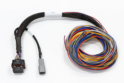 Haltech - Elite Pro Plug In Auxiliary Flying Lead Harness - Goleby's Parts | Goleby's Parts