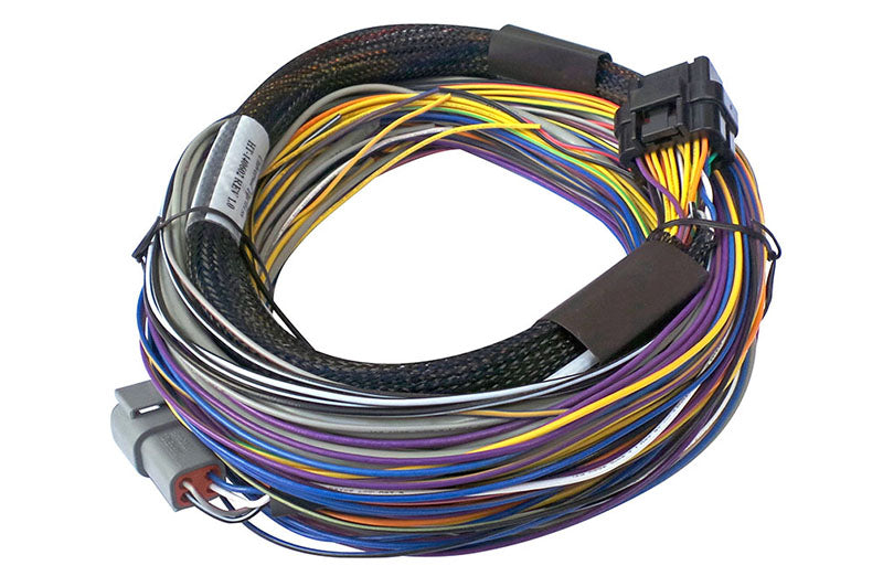 Haltech - Elite 550 2.5m Basic Universal Wire-In Harness - Goleby's Parts | Goleby's Parts