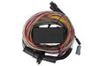 Haltech - Elite 950 5m Premium Universal Wire-In Harness - Goleby's Parts | Goleby's Parts