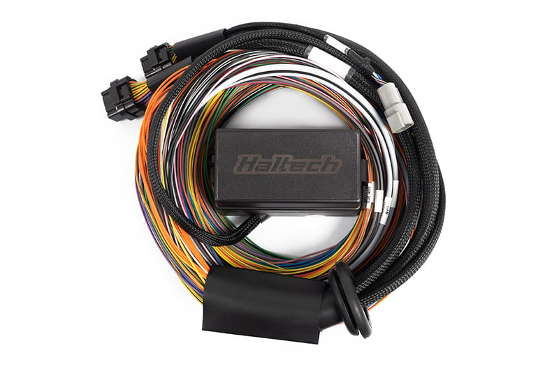 Haltech - Elite 1500, 2500 & 2500 T Premium Universal Wire-in Harness Length: 2.5m (8')