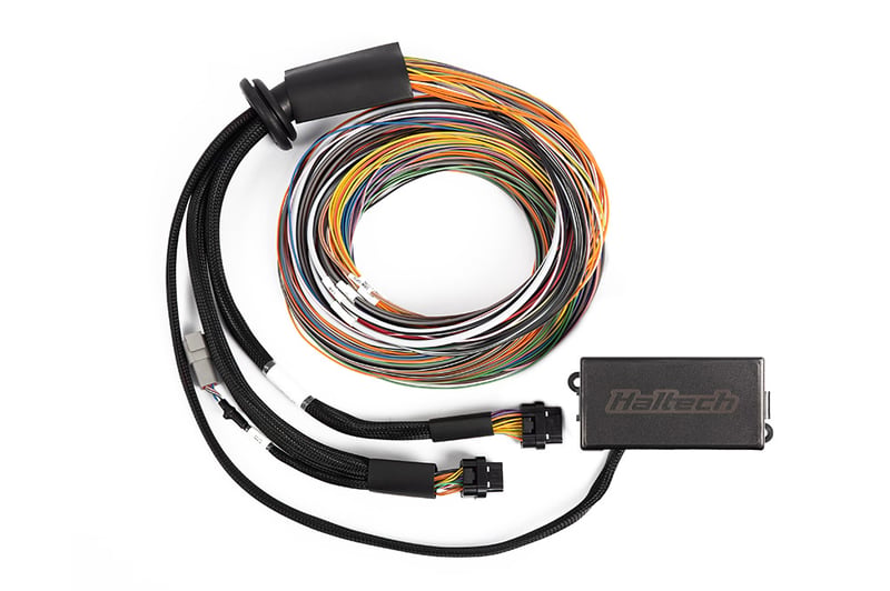 Haltech - Elite 1500, 2500 & 2500 T Premium Universal Wire-in Harness Length: 2.5m (8')