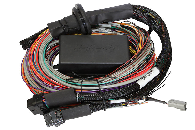 Haltech - Elite 2500/2500T 3m Premium Universal Wire-In Harness - Goleby's Parts | Goleby's Parts