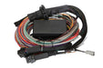 Haltech - Elite 1500 + Premium Universal Wire-in Harness Kit | Goleby's Parts