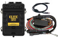 Haltech - Elite 2500 + Premium Universal Wire-in Harness Kit Length: 2.5m (8') - Goleby's Parts | Goleby's Parts