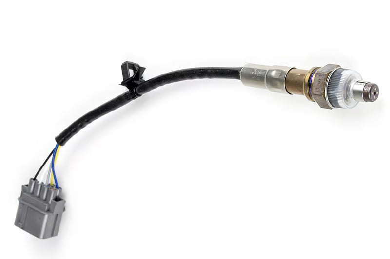 Haltech - WB1 NTK - Single Channel CAN O2 Wideband Controller Kit - NTK LZA09-E1 Laboratory Grade 6mA Sensor Length: 1.2M (4ft)