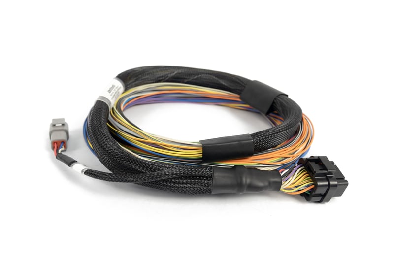 Haltech - Nexus T2 / T1 Basic Universal Wire-in Harness