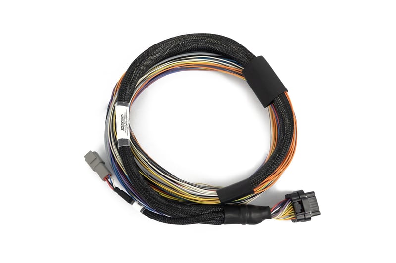 Haltech - Nexus T2 / T1 Basic Universal Wire-in Harness