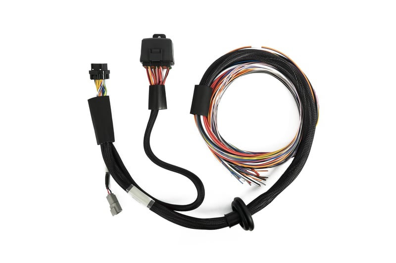 Haltech - Nexus T2 / T1 Premium Universal Wire-in Harness - 2.5m (8')