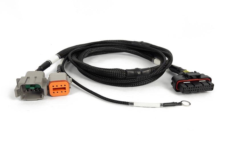Haltech - Nexus 6 Cylinder Igniter Adapter Harness