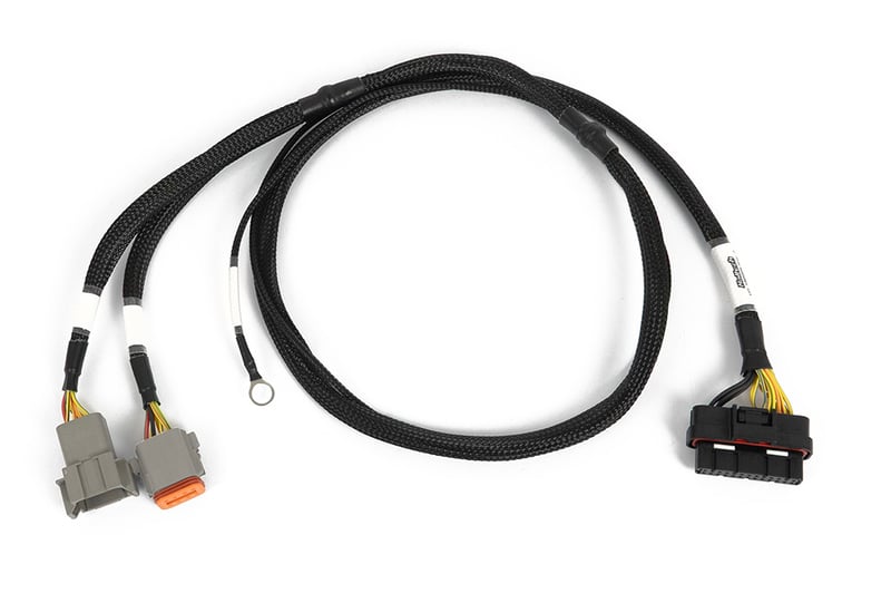 Haltech - Nexus 6 Cylinder Igniter Adapter Harness
