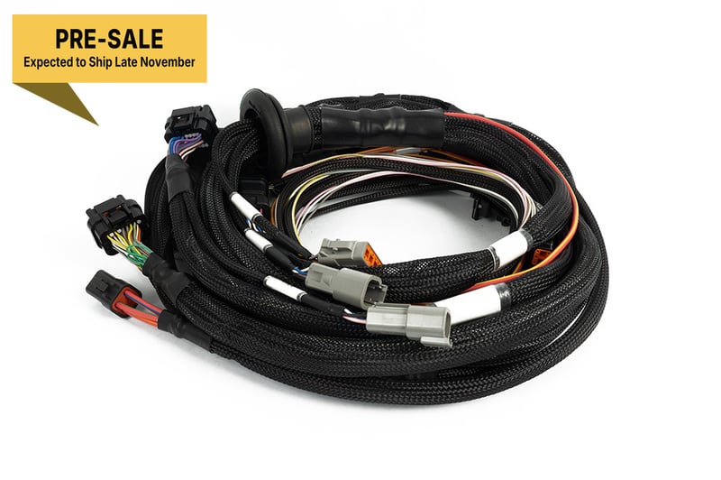 Haltech - Nexus Rebel K - Main Terminated Harness