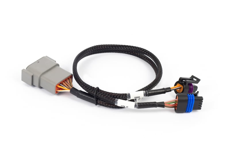 Haltech - Nexus Rebel LS - Cable Throttle + IAC sub-harness - Goleby's Parts | Goleby's Parts