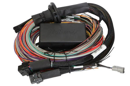 Haltech - Elite 1500 2.5m Premium Universal Wire-in Harness Haltech