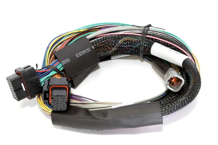 Haltech Elite 1500 Basic Universal Wire-in Harness Length: 2.5m (8') Haltech