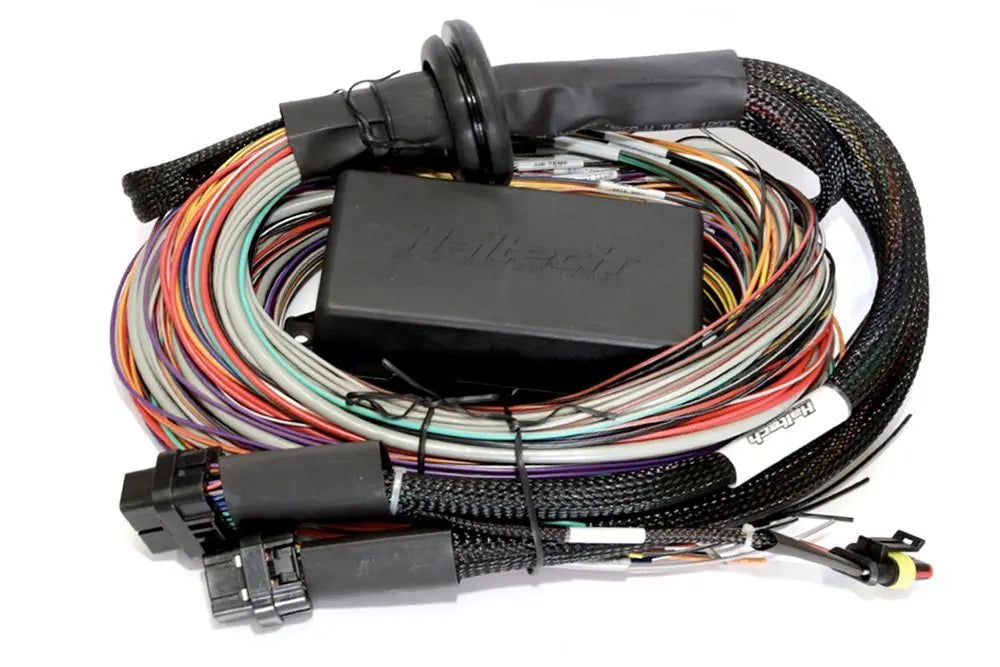 Haltech - Elite 2500 & 2500 T Premium Universal Wire In Harness 5.0m Only Haltech