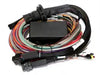 Haltech Elite 2500 & 2500 T Premium Universal Wire-in Harness Length: 2.5m (8') - Goleby's Parts | Goleby's Parts