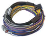 Haltech Elite 750 Basic Universal Wire-in Harness Length: 2.5m (8') - Goleby's Parts | Goleby's Parts