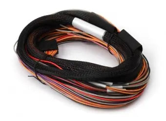 Haltech IO 12 Expander Flying Lead Harness Length: 2.5m (8') - Goleby's Parts | Goleby's Parts