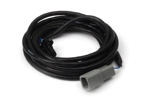 Haltech Tyco CAN Dash adaptor cable. Female Deutsch DTM-2 to 8 pin Black Tyco Haltech