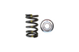 Brian Crower - 1JZ/2JZ Valve Spring & Titanium Retainer Set