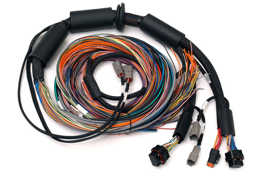 Haltech - Nexus R3 Universal Wire-in Harness - 2.5m (8') - Goleby's Parts | Goleby's Parts