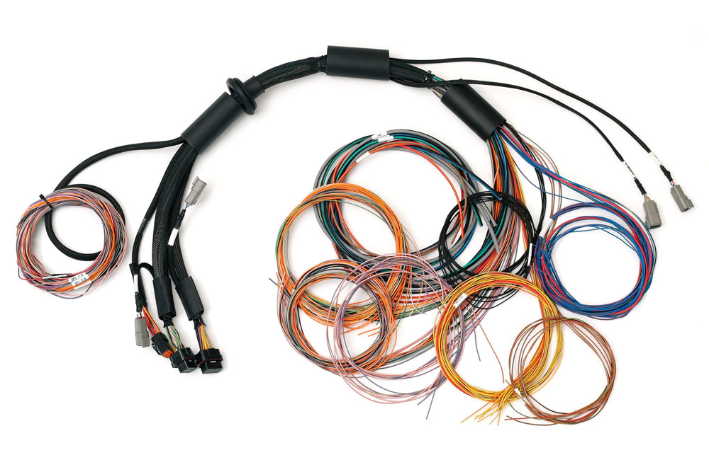 Haltech - Nexus R3 Universal Wire-in Harness - 2.5m (8') - Goleby's Parts | Goleby's Parts