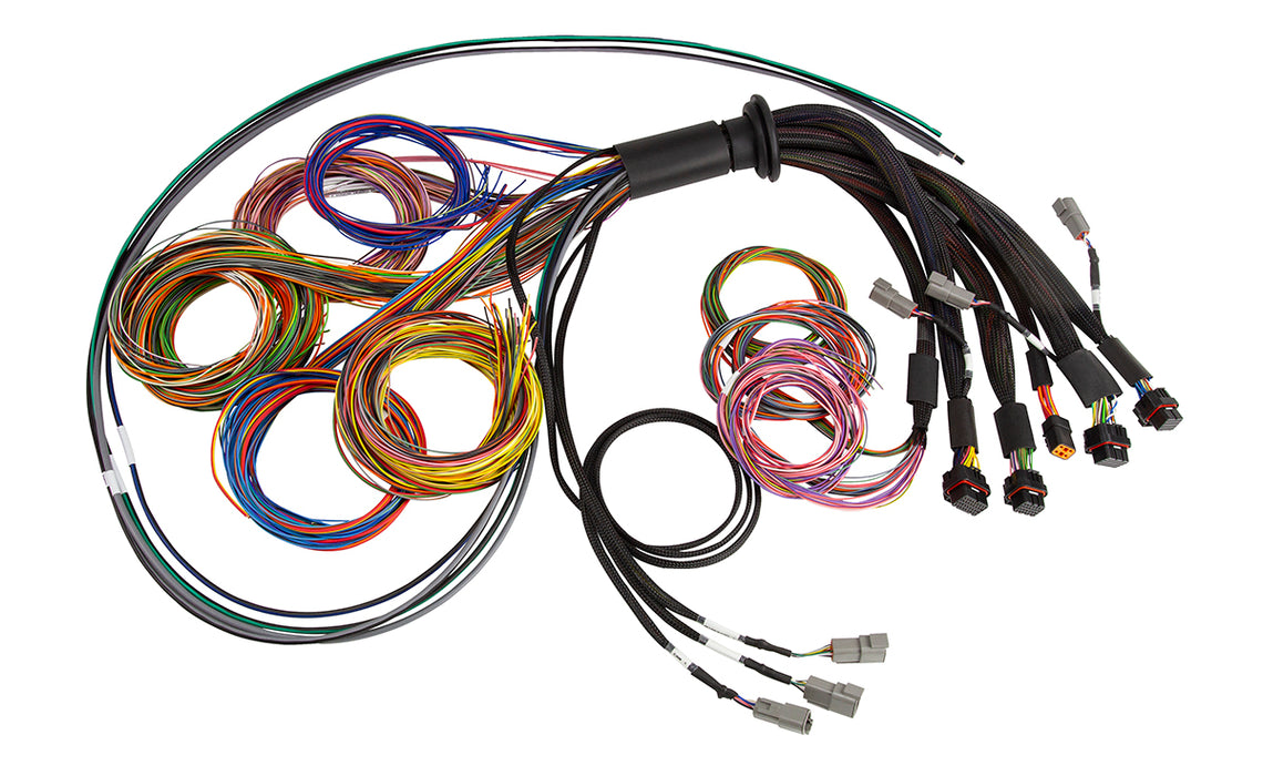 Haltech NEXUS R5 Basic Universal Wire-In Harness 5 Metre Length Length: 5M - Goleby's Parts | Goleby's Parts